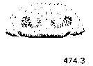 {short description of image}