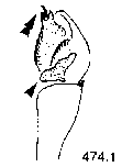 {short description of image}