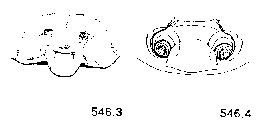 {short description of image}