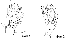 {short description of image}