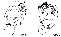 {short description of image}