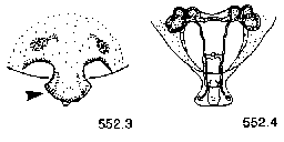 {short description of image}