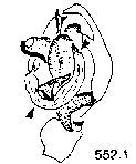 {short description of image}