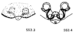 {short description of image}