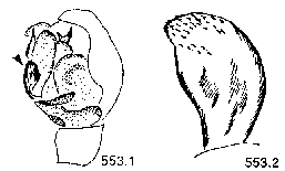 {short description of image}