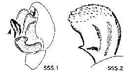 {short description of image}