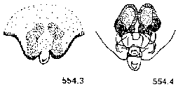 {short description of image}