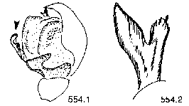 {short description of image}