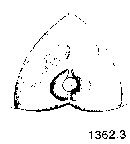 {short description of image}