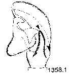 {short description of image}