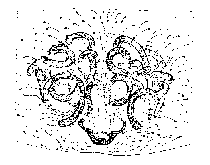 {short description of image}
