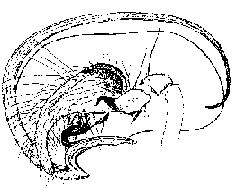 {short description of image}