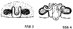 {short description of image}