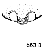{short description of image}
