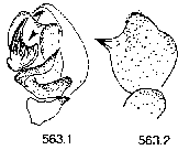{short description of image}