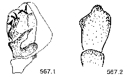 {short description of image}