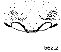 {short description of image}