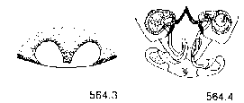 {short description of image}