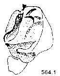 {short description of image}