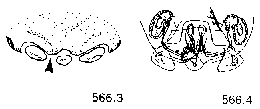 {short description of image}