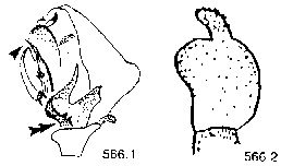 {short description of image}