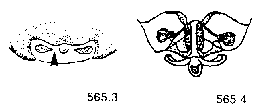 {short description of image}