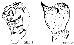 {short description of image}