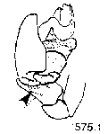 {short description of image}