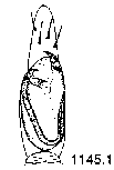 {short description of image}