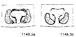 {short description of image}