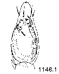 {short description of image}