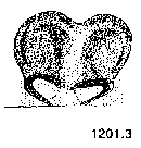 {short description of image}