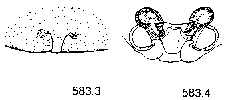 {short description of image}