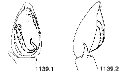 {short description of image}