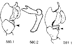 {short description of image}