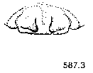 {short description of image}