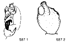{short description of image}