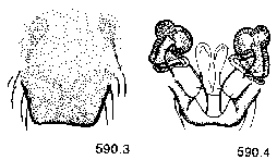 {short description of image}