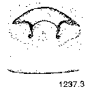 {short description of image}