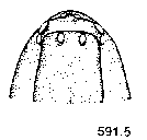 {short description of image}