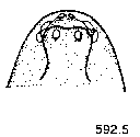 {short description of image}