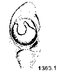 {short description of image}
