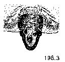 {short description of image}