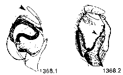 {short description of image}