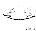 {short description of image}