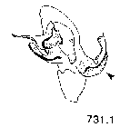 {short description of image}