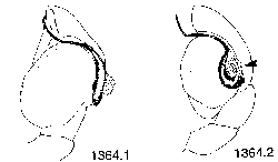 {short description of image}