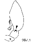 {short description of image}