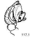 {short description of image}