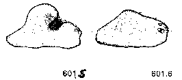 {short description of image}